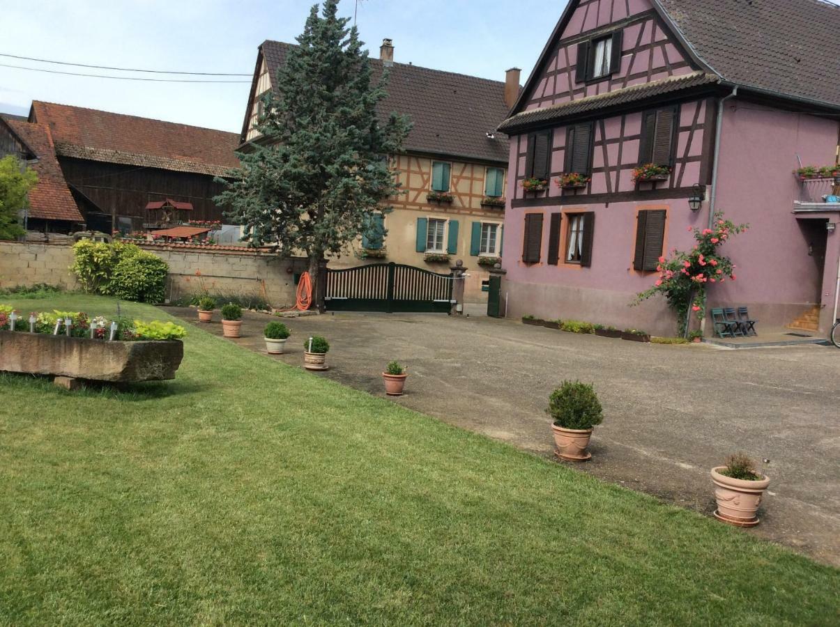 Gite Heinrich Ebersheim Bagian luar foto